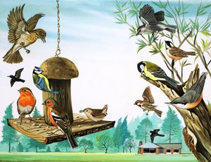 Todo tipo de pájaros alrededor de la mesa del jardín, ilustración de 