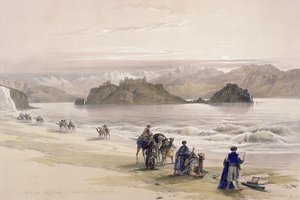Isla de Graie, Golfo de Akabah, Arabia Petraea, 27 de febrero de 1839, lámina 108 del Volumen III de 