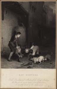 Cazadores de ratas de David Wilkie