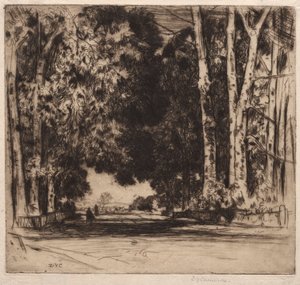 La Avenida de David Young Cameron