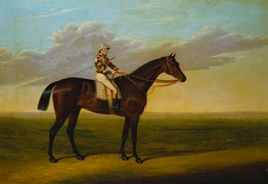 El caballo de carreras 