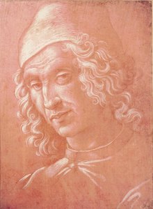 Cabeza de un hombre de Davide Ghirlandaio
