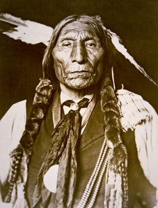 Wolf Robe (n. 1841) 1909 (foto en blanco y negro) de DeLancey W. Gill