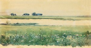 Paisaje con pantanos