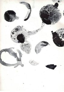 Formas abstractas fluidas de Deb Chaney