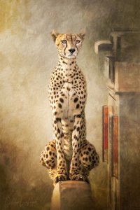 Retrato majestuoso de un guepardo de Debbie Lefever