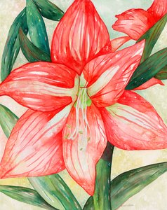 Amarilis, 2005 (acuarela) de Deborah Eve Alastra