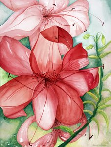 Tigerlily, 2007 (acuarela) de Deborah Eve Alastra