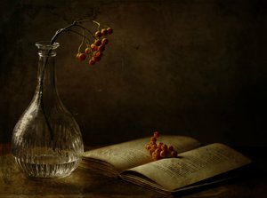  de Delphine Devos