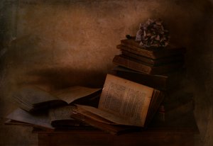  de Delphine Devos