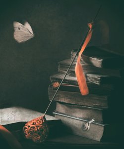  de Delphine Devos