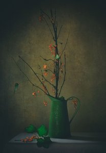  de Delphine Devos