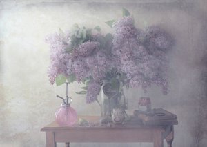 de Delphine Devos