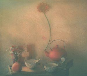  de Delphine Devos