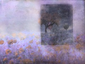  de Delphine Devos