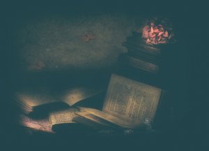  de Delphine Devos