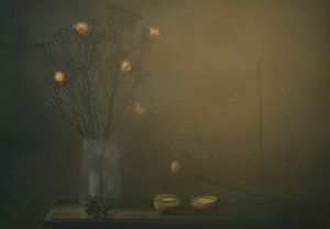  de Delphine Devos