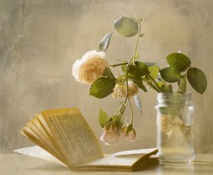 Rosas marchitas: Libro abierto de Delphine Devos