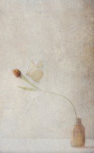  de Delphine Devos