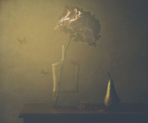  de Delphine Devos