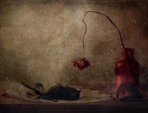  de Delphine Devos