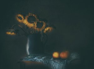  de Delphine Devos