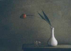  de Delphine Devos