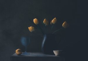  de Delphine Devos