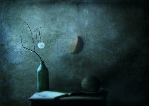  de Delphine Devos