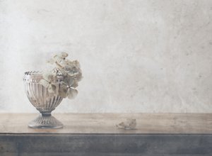  de Delphine Devos