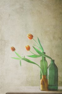  de Delphine Devos