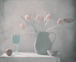  de Delphine Devos