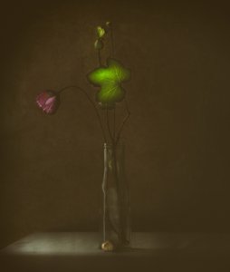  de Delphine Devos