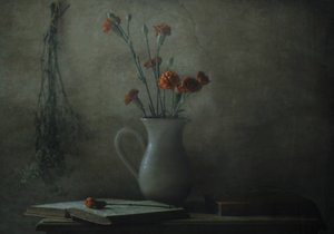  de Delphine Devos