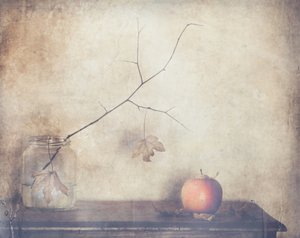  de Delphine Devos