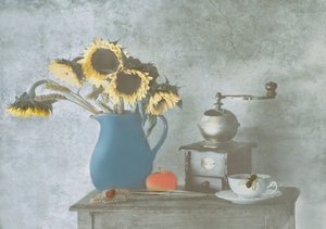  de Delphine Devos