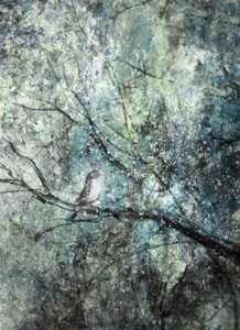 Aves serenas en invierno