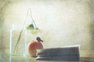  de Delphine Devos