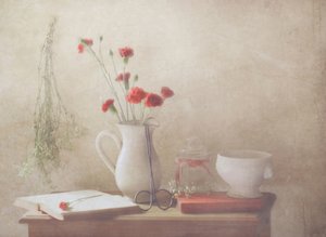  de Delphine Devos