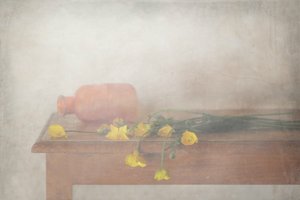  de Delphine Devos