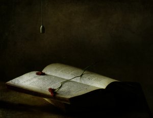  de Delphine Devos