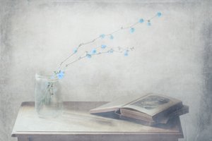  de Delphine Devos