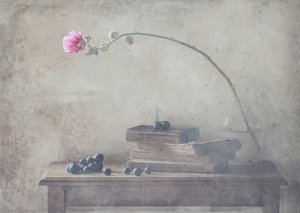  de Delphine Devos