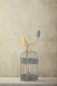  de Delphine Devos