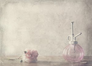  de Delphine Devos