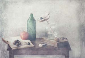  de Delphine Devos