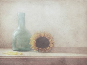  de Delphine Devos
