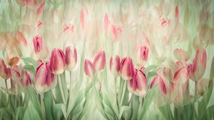 Tulipanes rosas de ensueño de Denis O Reilly