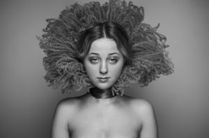 Retrato de follaje sereno