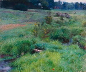 El arroyo de Medfield de Dennis Miller Bunker